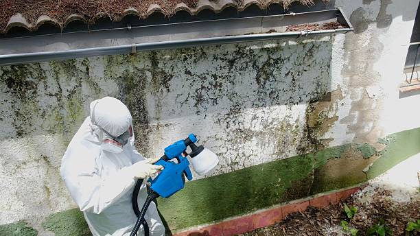 Trusted Attic Mold Removal service in Moshannon, PA - Cheap Mold Removal